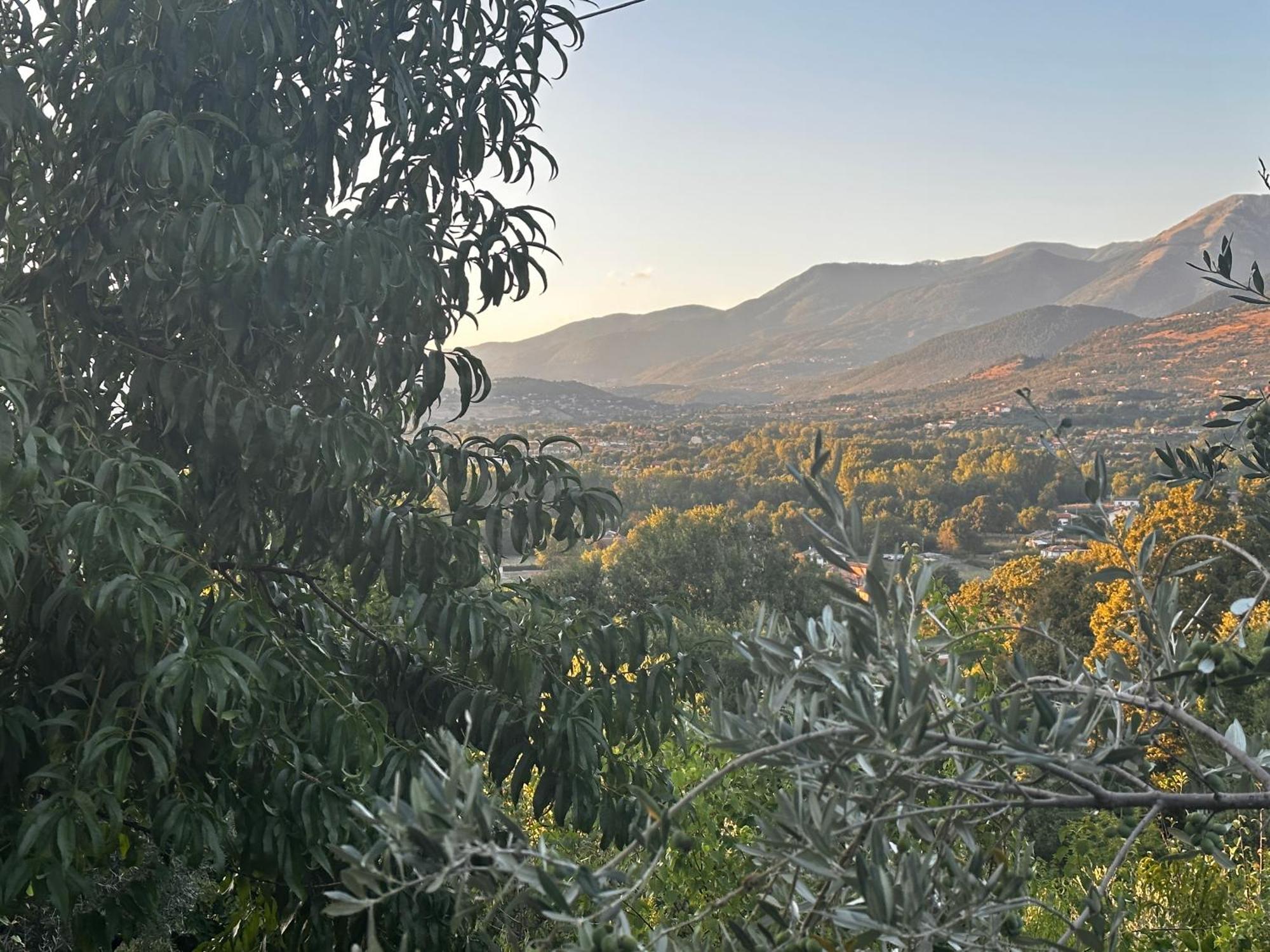 La Casa In Collina Apartment Veroli Bagian luar foto